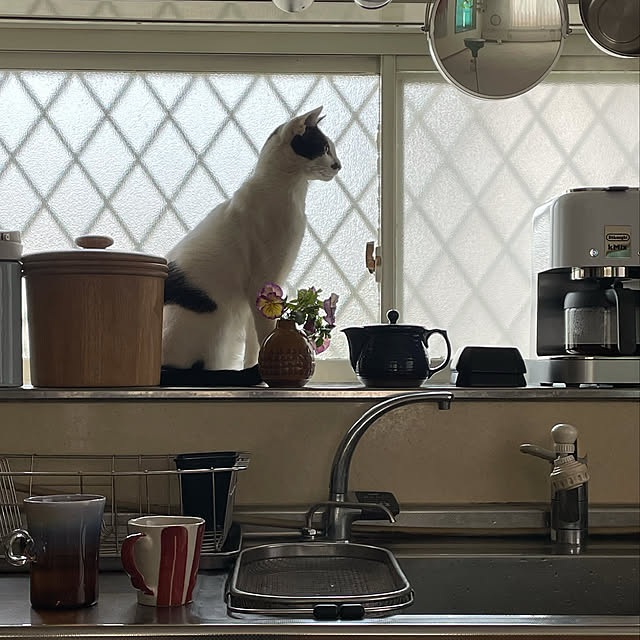 nobikoさんの実例写真