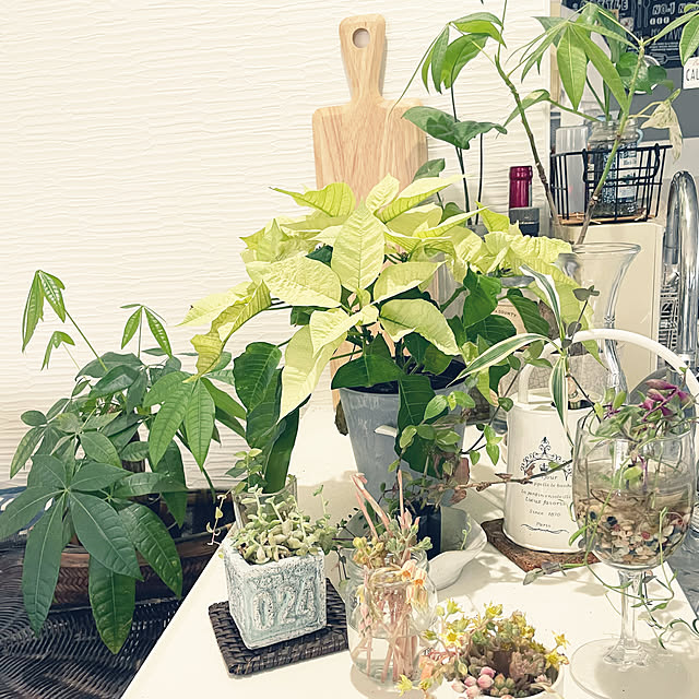 burgundy.roseさんの部屋