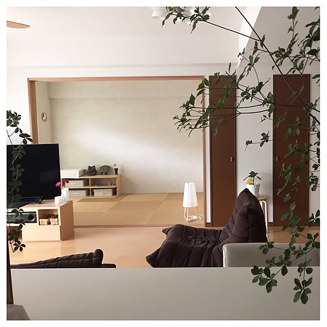 Yoshikoさんの実例写真