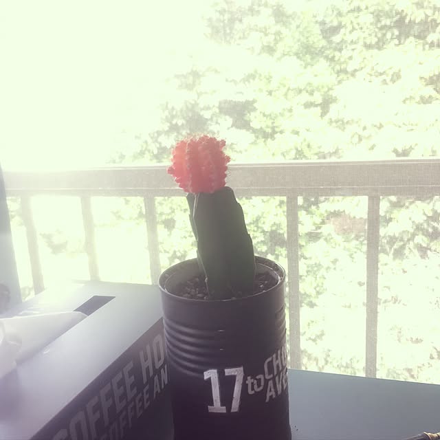 chauさんの実例写真