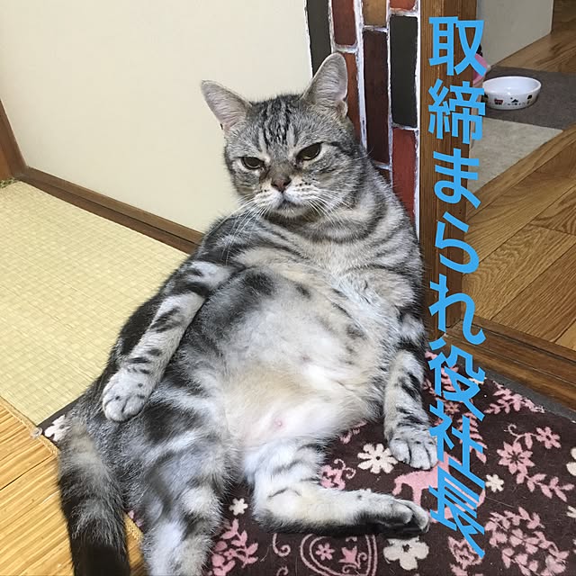 ugigoさんの実例写真