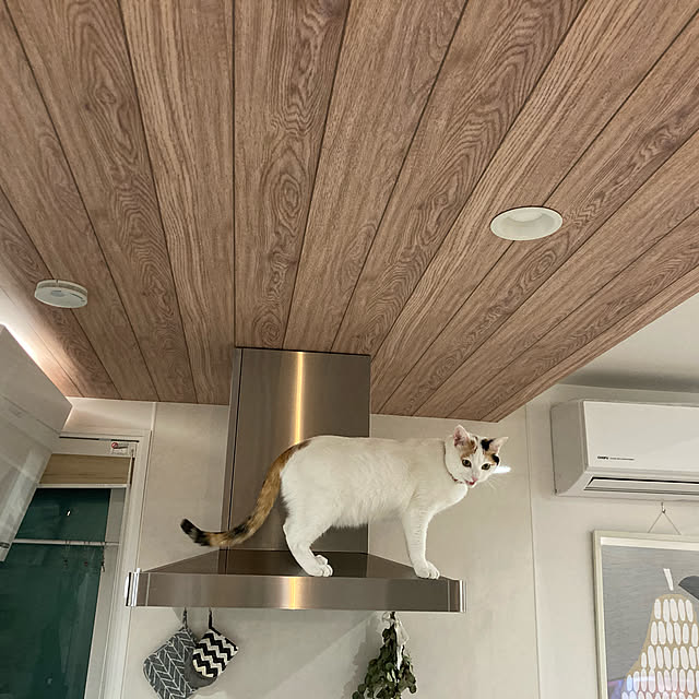 tapimokaさんの実例写真