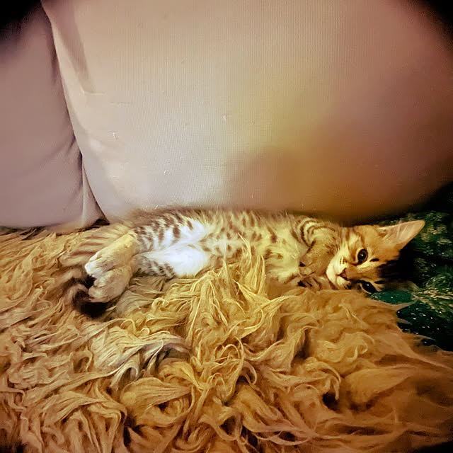 Mさんの部屋