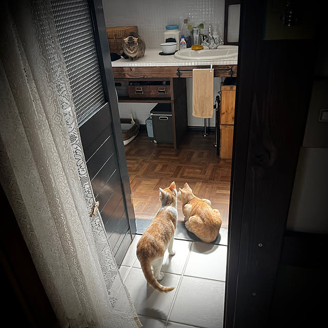 marusanさんの部屋