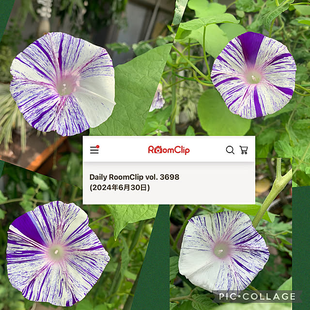 Aqettyさんの実例写真