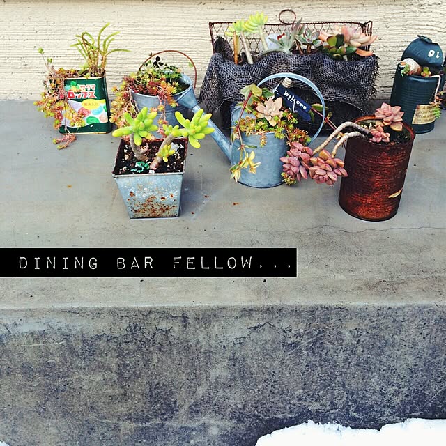 Fellowさんの実例写真