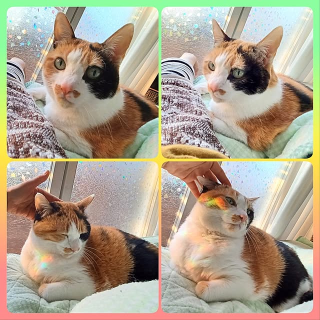 nanaさんの部屋