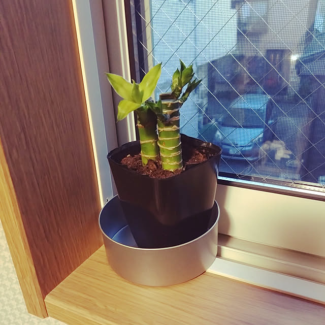NAOKIさんの実例写真