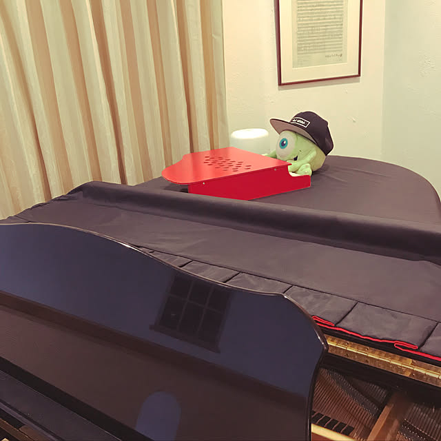 akkinさんの実例写真