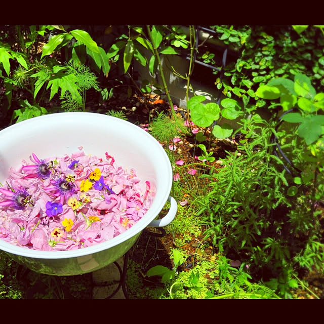 aromameさんの実例写真