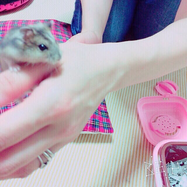 tommyさんの実例写真