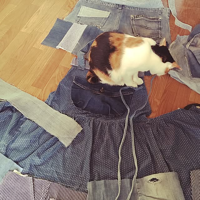 chukinoさんの実例写真