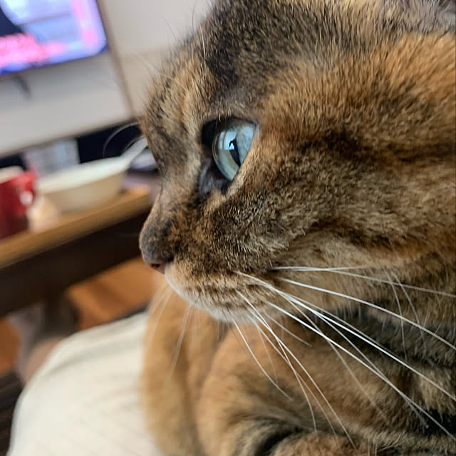 mikeume7さんの実例写真