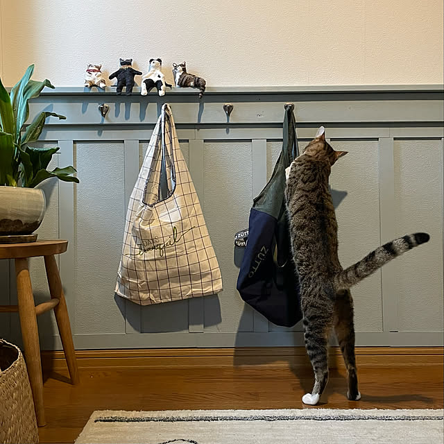nobikoさんの実例写真
