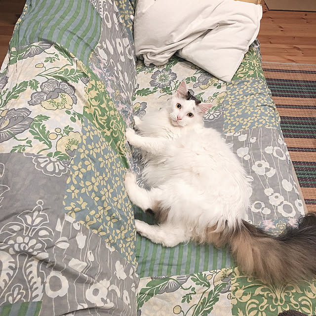 hotarueggさんの実例写真