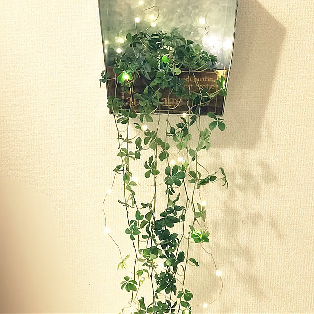 miyuukiさんの実例写真