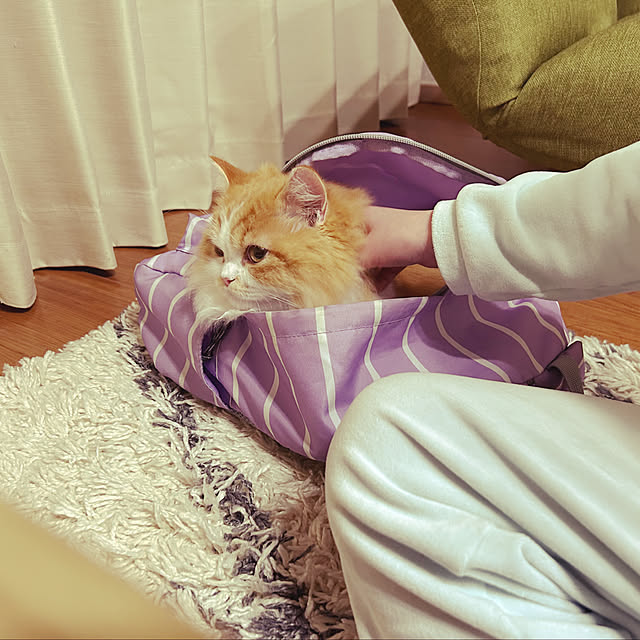 junさんの実例写真