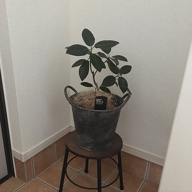 kaorinさんの実例写真