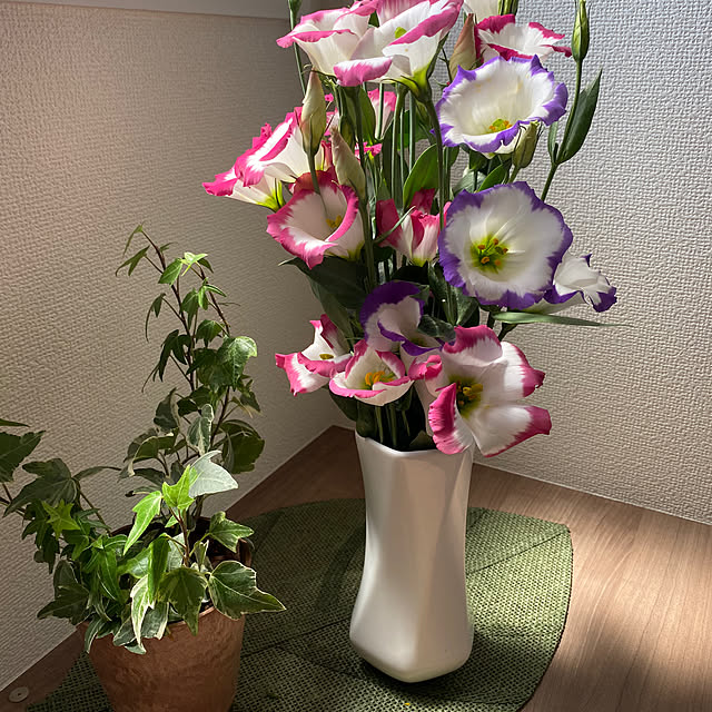 mamamoriさんの部屋