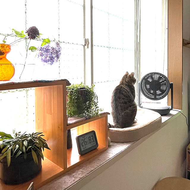 nobikoさんの部屋