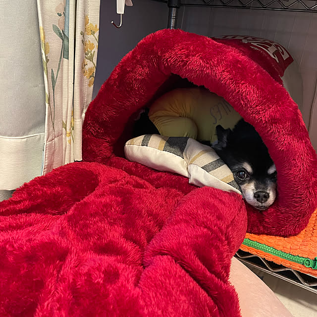 kotaさんの実例写真