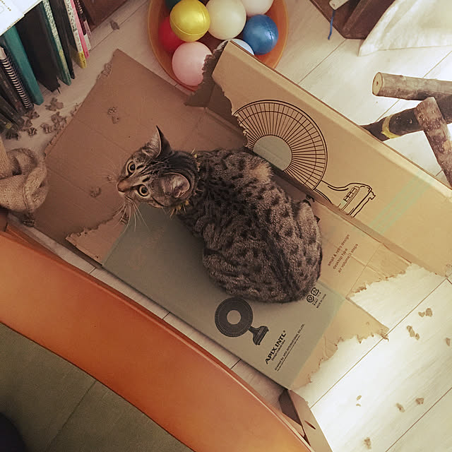 Mさんの実例写真
