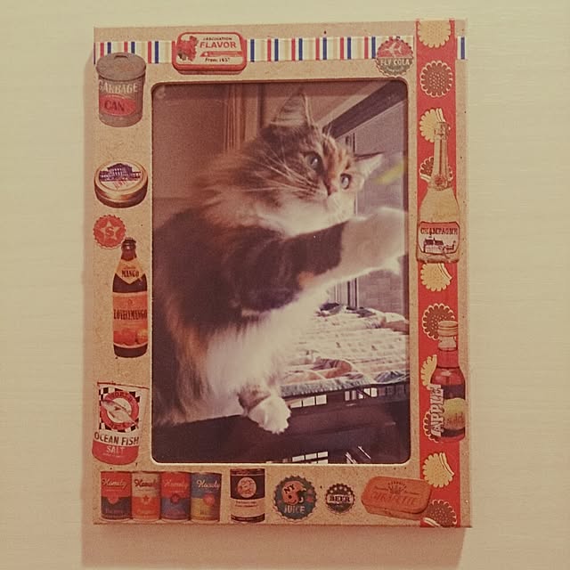 Asakoさんの実例写真