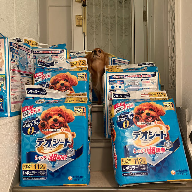 toratanさんの実例写真