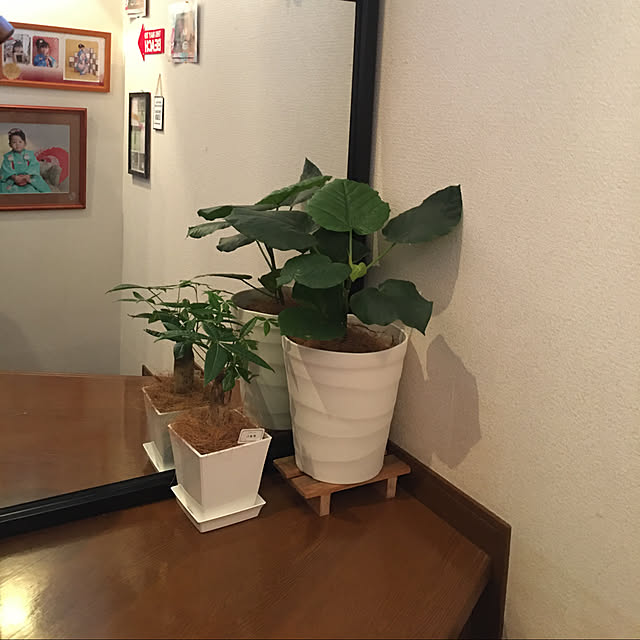 ayuさんの実例写真