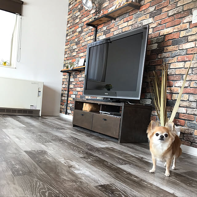 usakoさんの実例写真