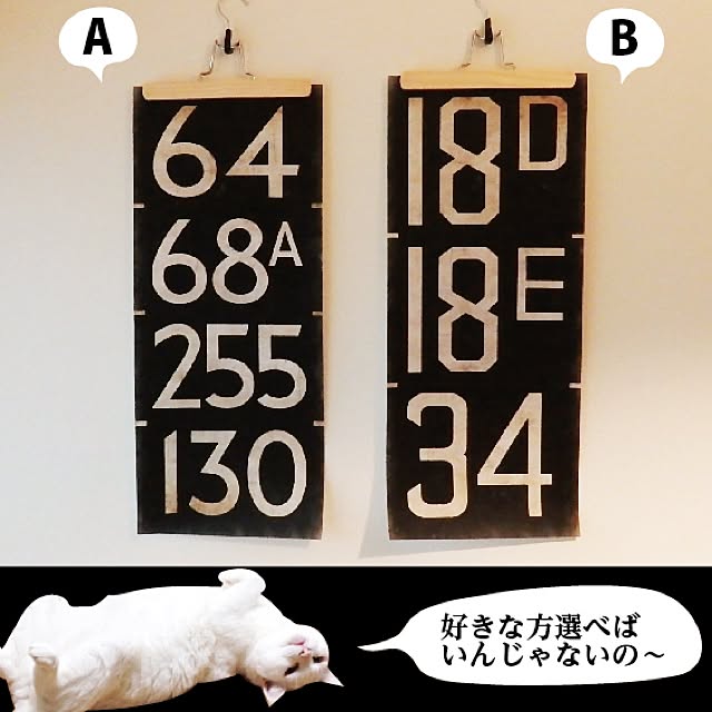 hal36さんの実例写真