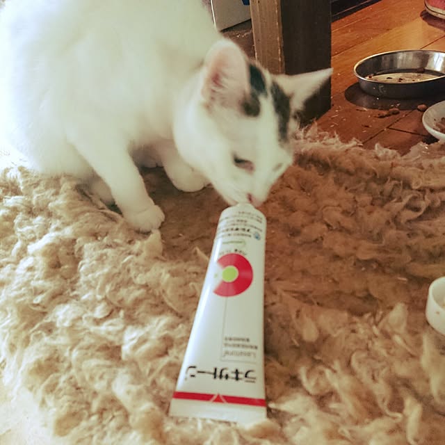 uchizukonyanさんの実例写真