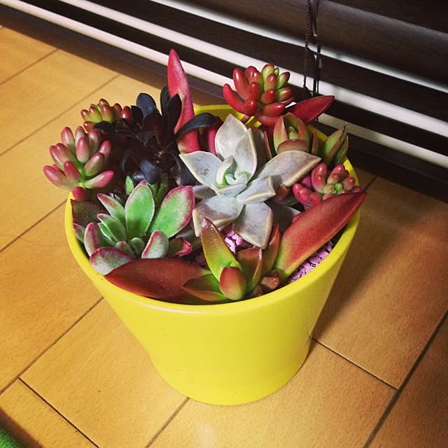 gp8.y59さんの実例写真