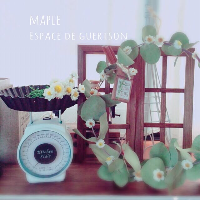 mapleさんの実例写真