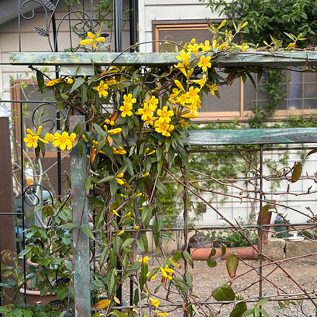 kazutomoさんの部屋