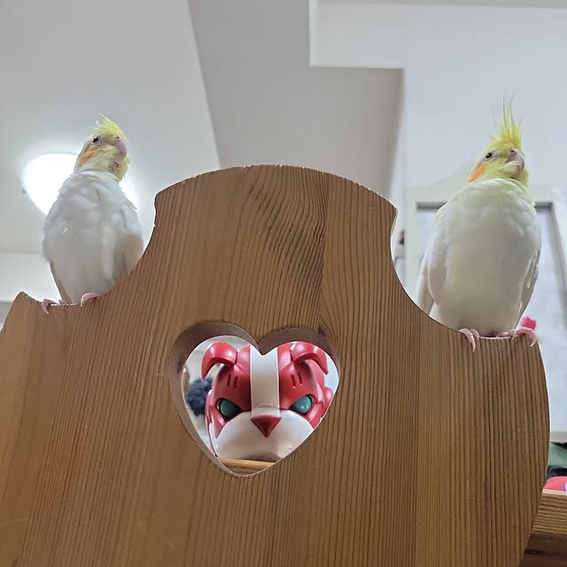 ANTENNAさんの実例写真