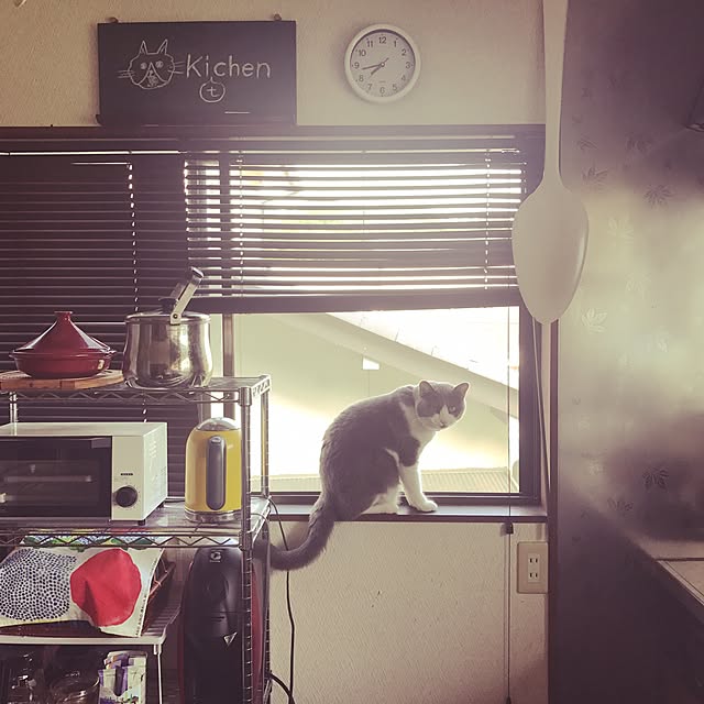 hacchiさんの実例写真