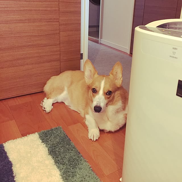 Oscarさんの実例写真