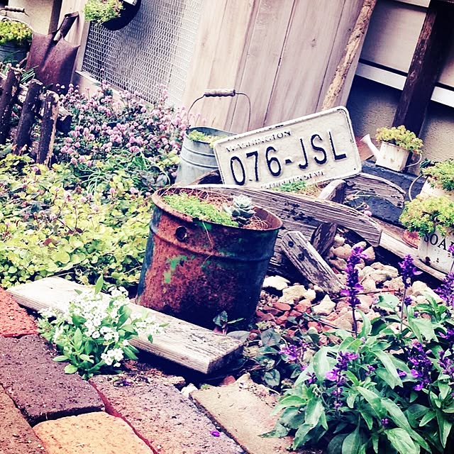 cocoa.さんの実例写真