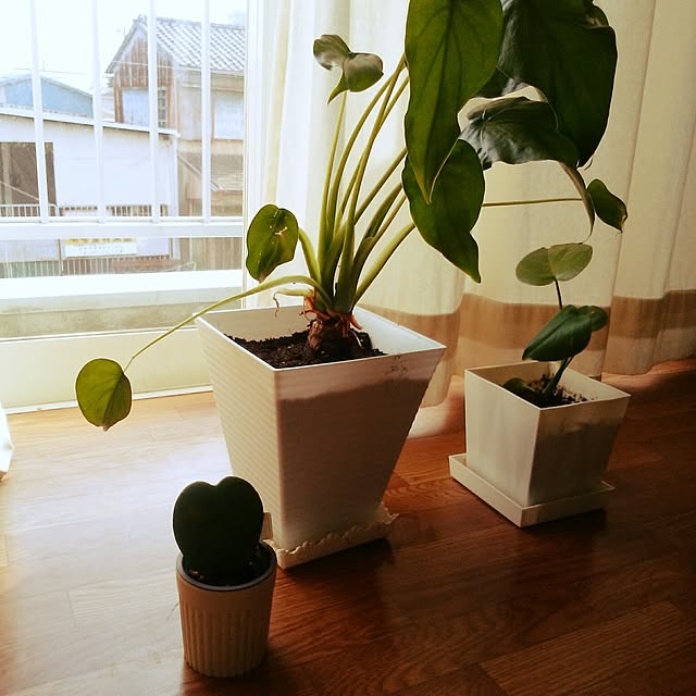 実例写真