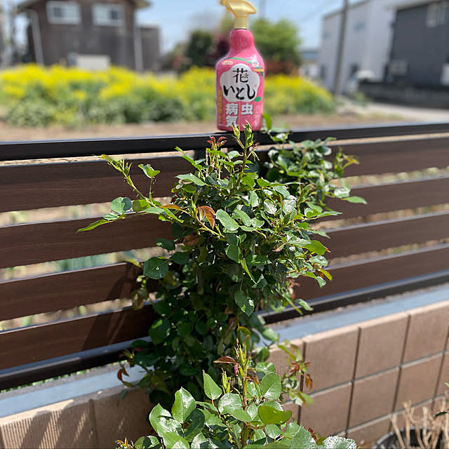 ronronさんの実例写真