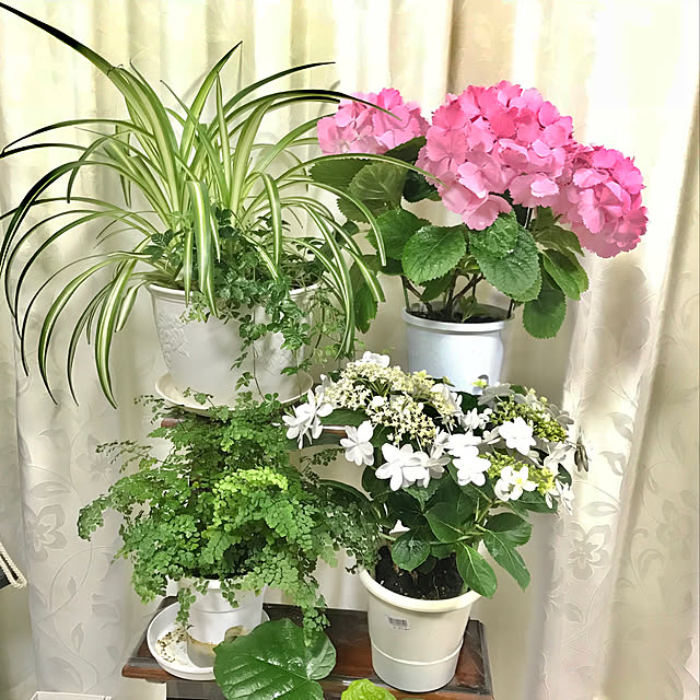 yuko25さんの実例写真