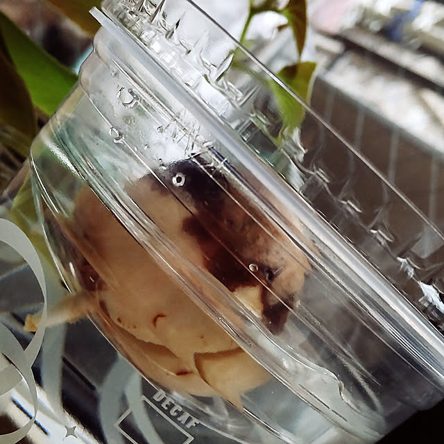 sakiさんの実例写真