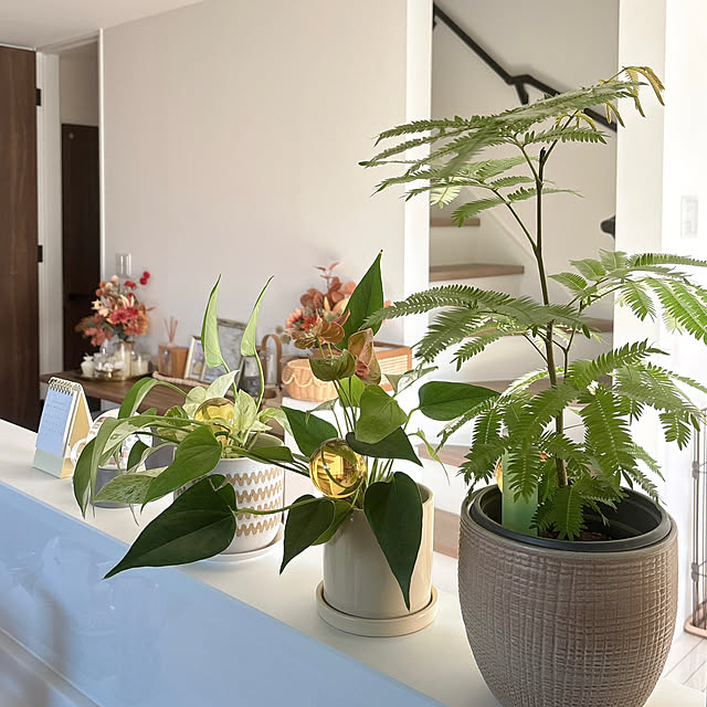 Oasaさんの実例写真