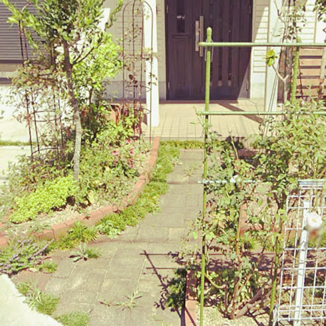 kikiさんの実例写真
