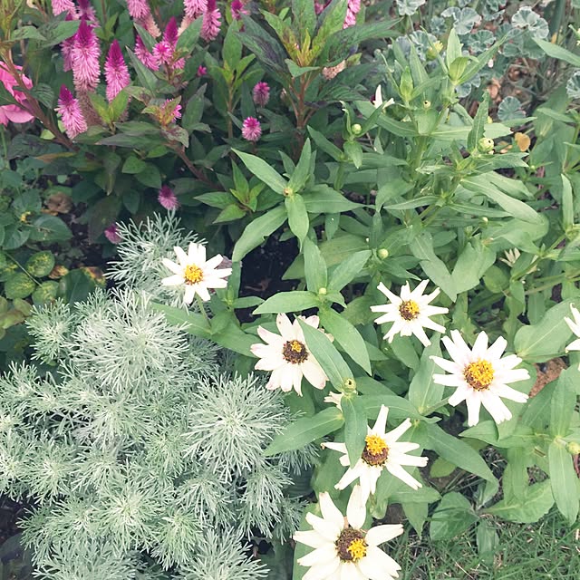 happygardenさんの実例写真