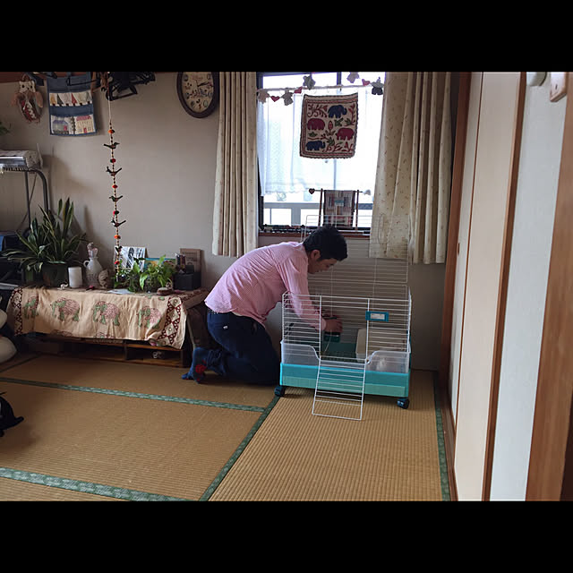megumi_さんの実例写真