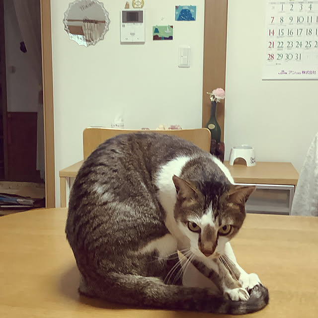 haruminさんの実例写真