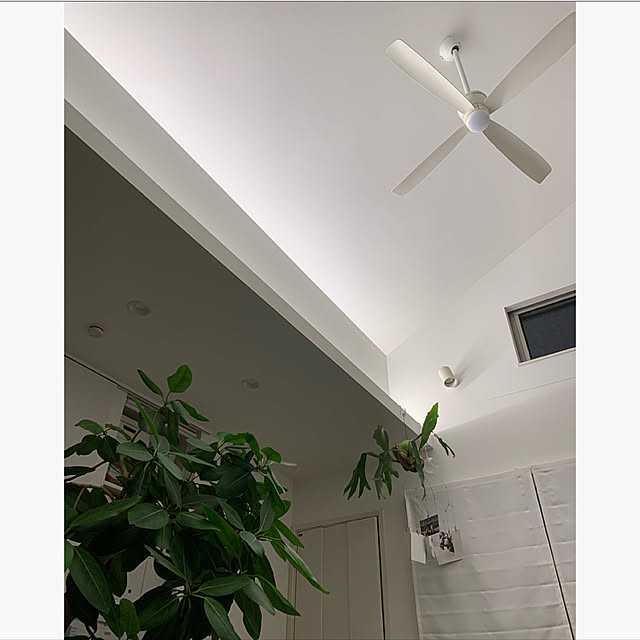 Tinoさんの実例写真