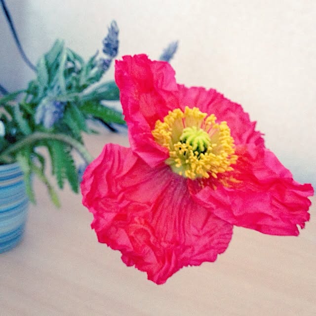 kuromさんの実例写真